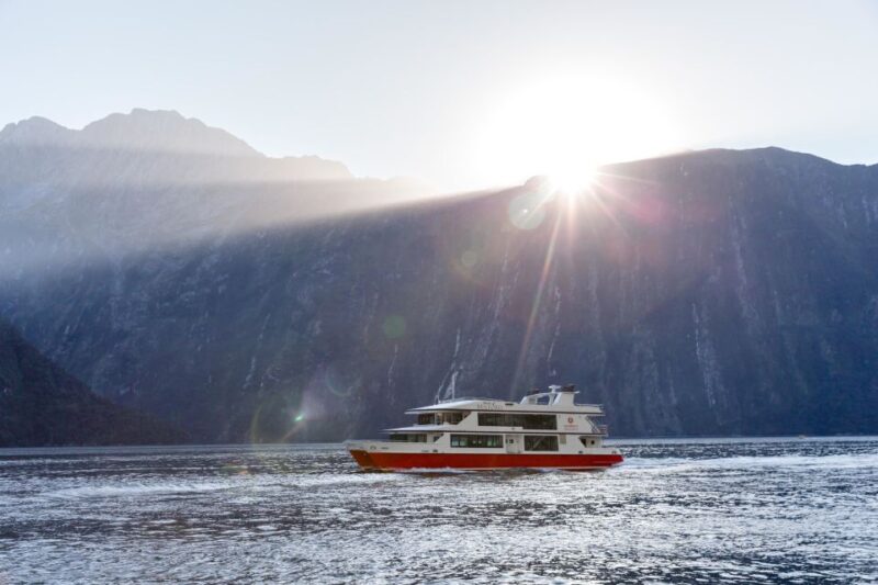 From Te Anau: 1-Day Milford Sound Coach & Cruise - Travel Experience and Highlights