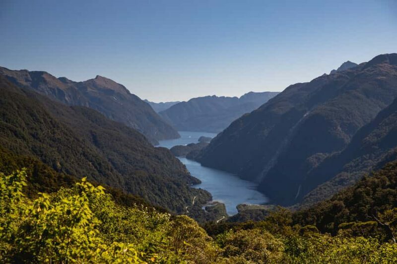 From Te Anau: Doubtful Sound Coach & Cruise - An In-Depth Look at the Doubtful Sound Experience