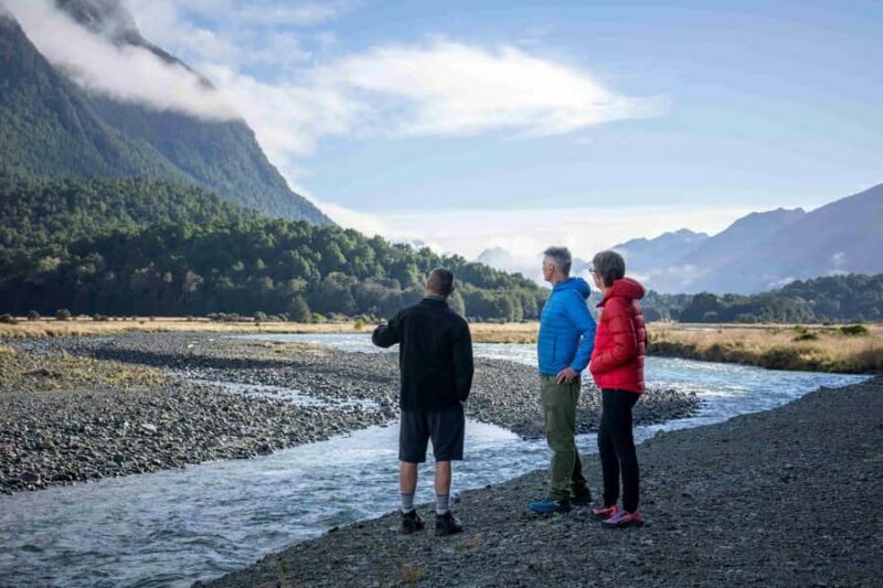 From Te Anau: Milford Sound Coach, Cruise, and Walks - Key Points