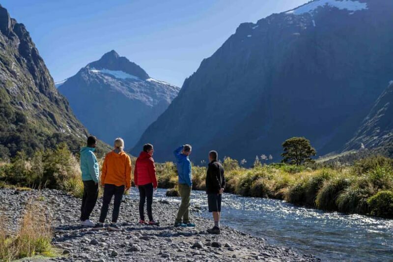 From Te Anau: Milford Sound Coach, Cruise, and Walks - Authentic Experiences & Real Traveller Feedback