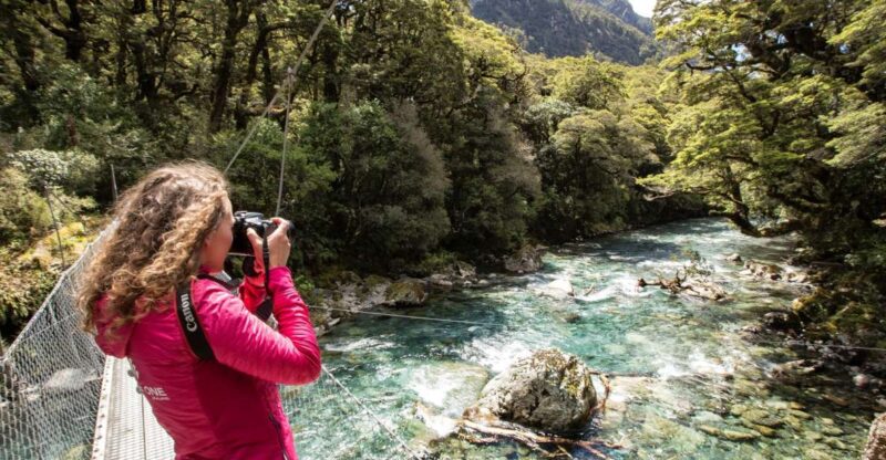 From Te Anau: Milford Sound Coach, Cruise, and Walks - Itinerary and Experience