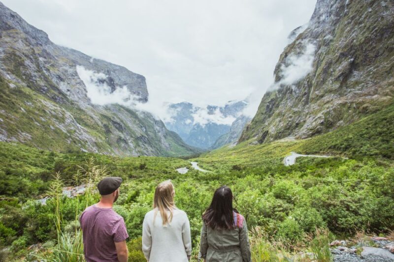 From Te Anau: Milford Sound Coach Tour and Cruise - Key Points