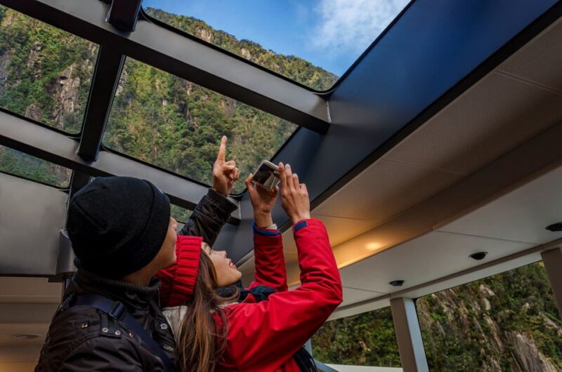 From Te Anau: Milford Sound Coach Tour and Cruise - Customer Reviews and Ratings