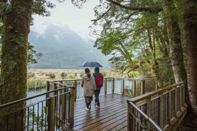 From Te Anau: Milford Sound Coach Tour and Cruise - Pricing and Booking Details