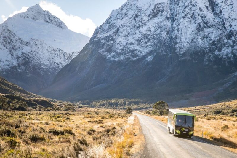 From Te Anau: Milford Sound Cruise and Coach Day Trip - Key Points
