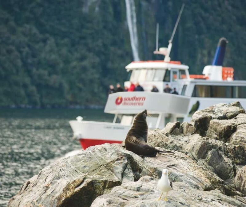 From Te Anau: Milford Sound Extended Cruise and Coach Tour - Key Points