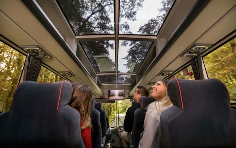 From Te Anau: Milford Sound Premium Bus Tour and Cruise - An Overview of the Experience