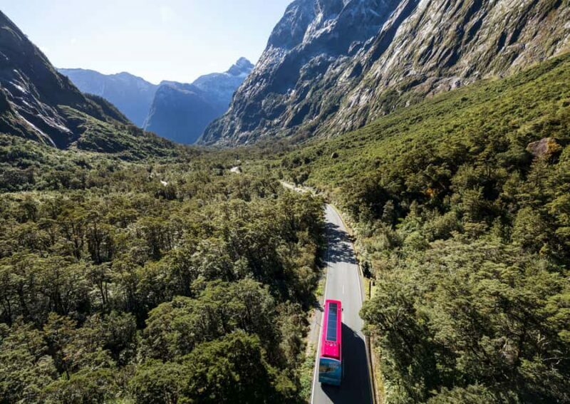 From Te Anau: Milford Sound Premium Bus Tour and Cruise - The Return Journey and Overall Value
