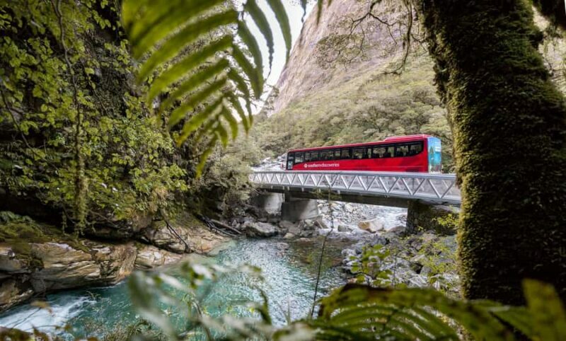 From Te Anau: Milford Sound Premium Bus Tour and Cruise - Who is This Tour Best For?