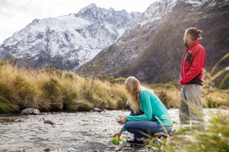 From Te Anau: Milford Sound Premium Bus Tour and Cruise - The Sum Up: Who Should Consider This Tour?