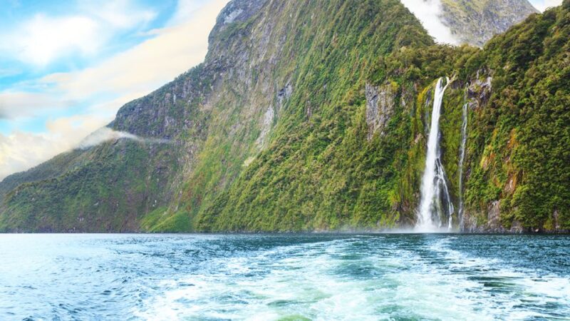 From Te Anau: Milford Sound Tour With Cruise and Lunch - Customer Reviews and Ratings