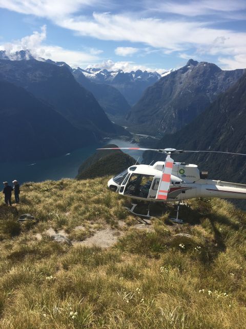 From Te Anau: Scenic Flight to Doubtful and Milford Sound - Key Points