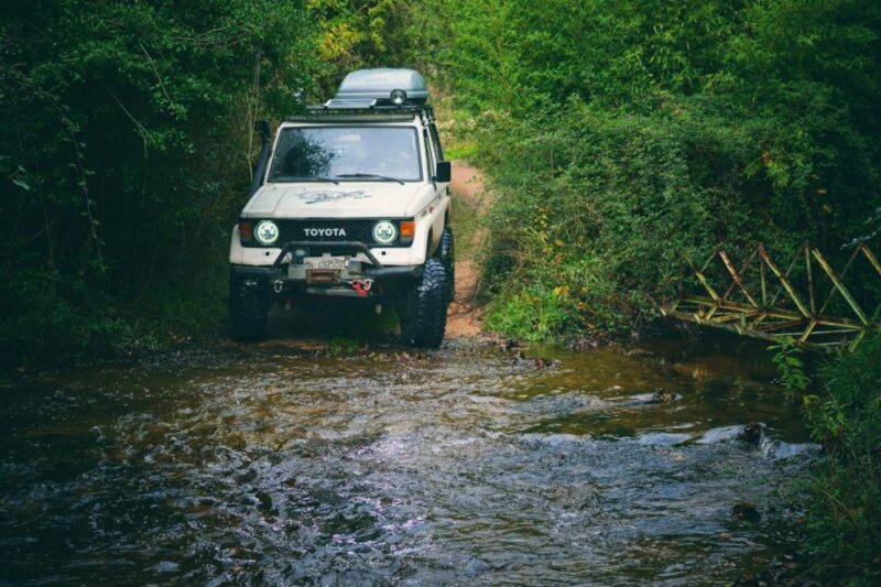 From Tempio Pausania: Full-day 4x4 Mountain Tour of Limbara - Scenic Viewpoints