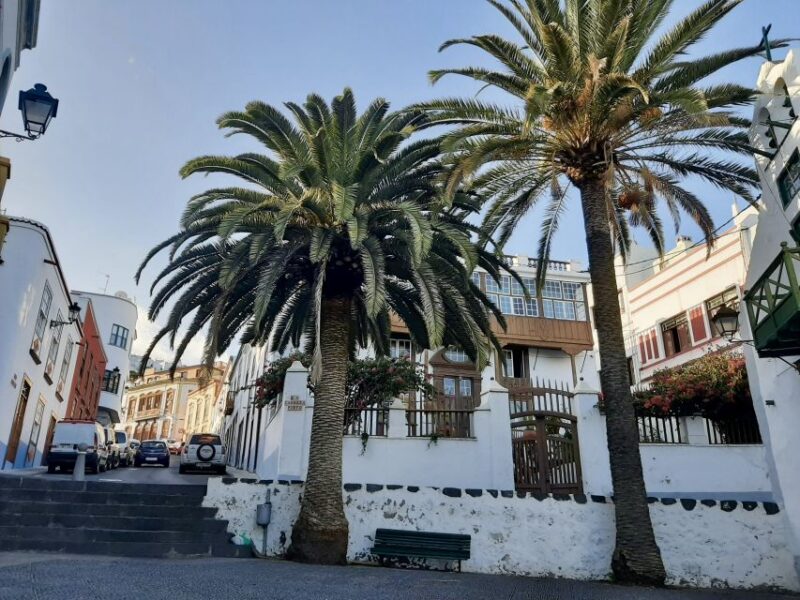 From Tenerife: Day Trip to La Palma Volcanic Landscapes - Itinerary