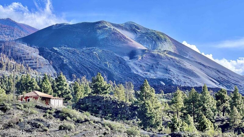 From Tenerife: Day Trip to La Palma Volcanic Landscapes - Tazacorte Beach