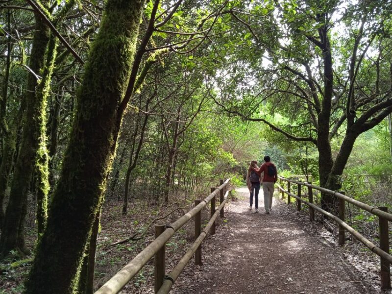 From Tenerife: La Gomera Day Trip With Guide - Lunch With Silbo Gomero Demonstration