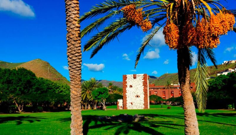 From Tenerife: La Gomera Day Trip With Guide - Pickup and Drop-off Service Convenience