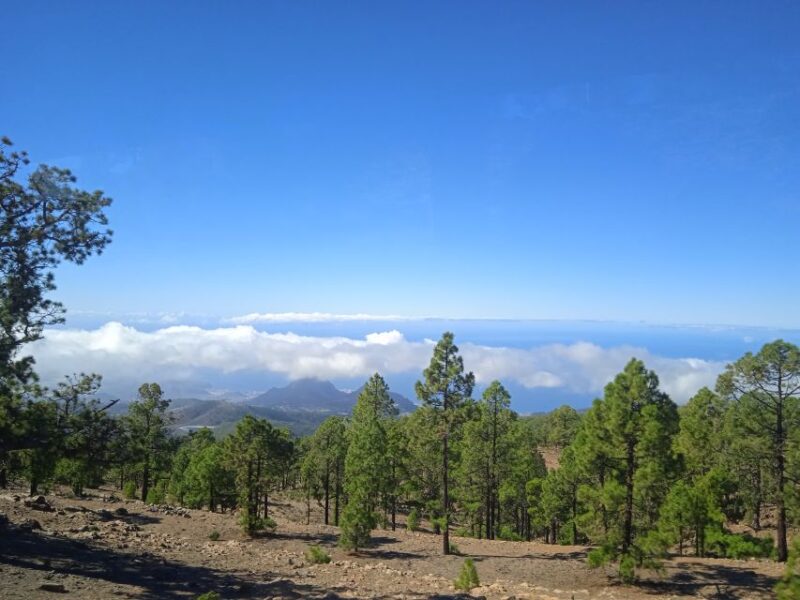From Tenerife: Teide National Park Guided Day Trip by Bus - Pricing and Inclusions