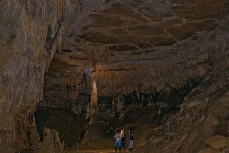 From the Amazon: Karajira Sarcophagi and Quiocta Cavern - Key Points
