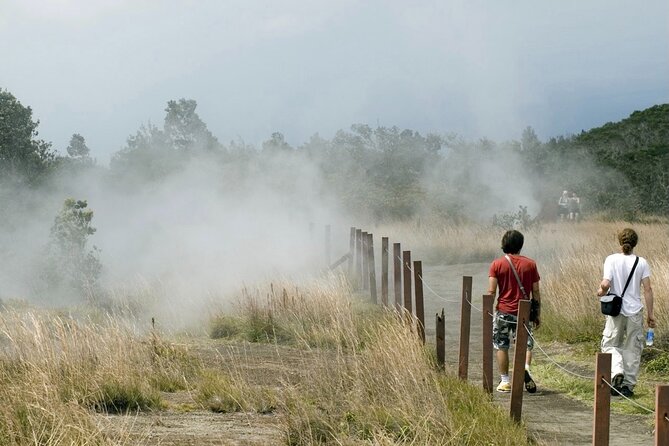 From the Big Island: Hawaii Volcanoes National Park Experience - Logistics and Inclusions
