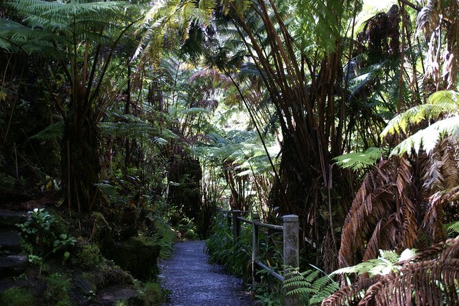 From the Big Island: Hawaii Volcanoes National Park Experience - Pickup Information