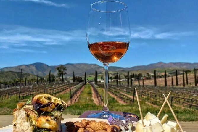 From the Border Valle de Guadalupe Private Wine Tour - Who Will Love This Tour?