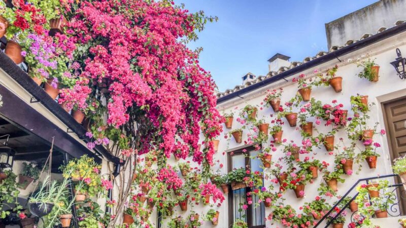 From the Costa Del Sol: One Day in Córdoba + Mezquita - Meeting Points for Departure