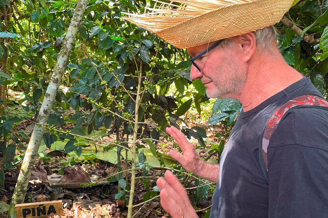 From the Mata to the Cup: Travel Along the Coffee Route in Polo Barahona - Transportation Details