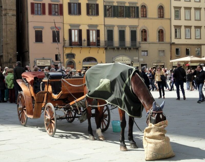 From the Port of Livorno: Private Day Trip of Florence - Guide and Language Options