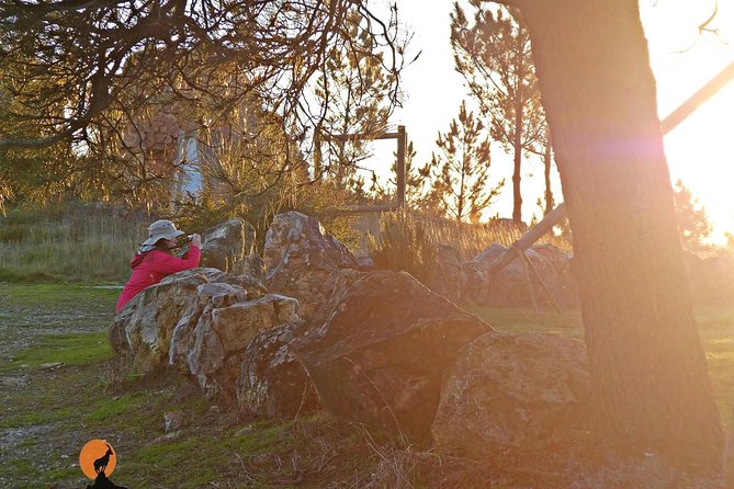 From the Schist Villages of Lousã to the Mills of Penacova - Reviews and Ratings