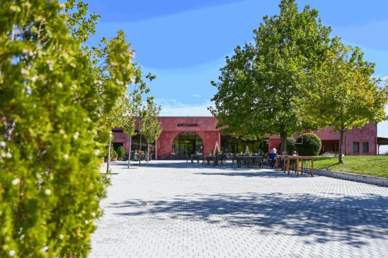 From Thessaloniki: Pella-Edessa Wine Tasting - Key Points