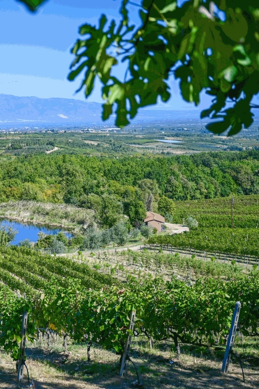 From Thessaloniki: Pella-Edessa Wine Tasting - Edessa Highlights