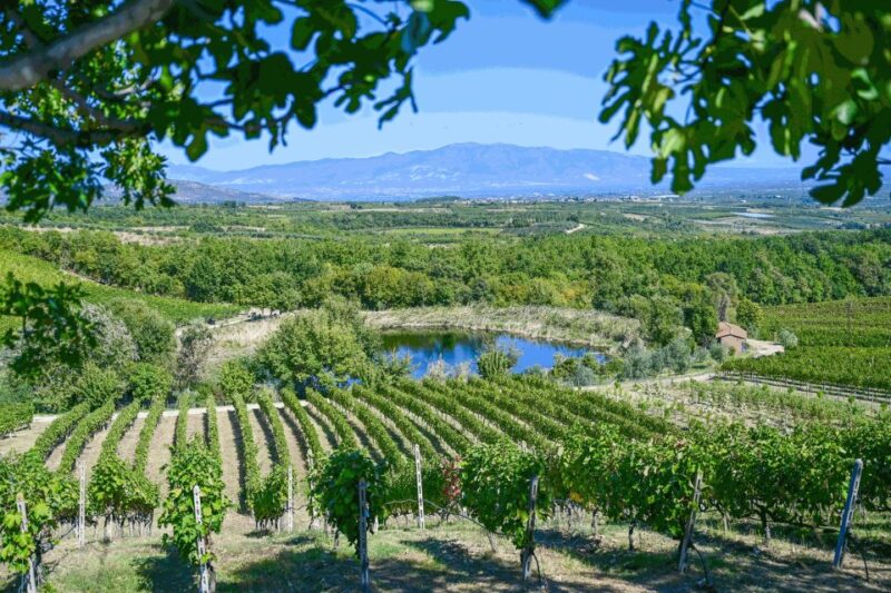 From Thessaloniki: Pella-Edessa Wine Tasting - Pickup and Drop-off Locations