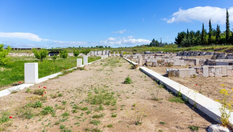 From Thessaloniki: Vergina & Veria Half-Day Tour - Inclusions and Exclusions