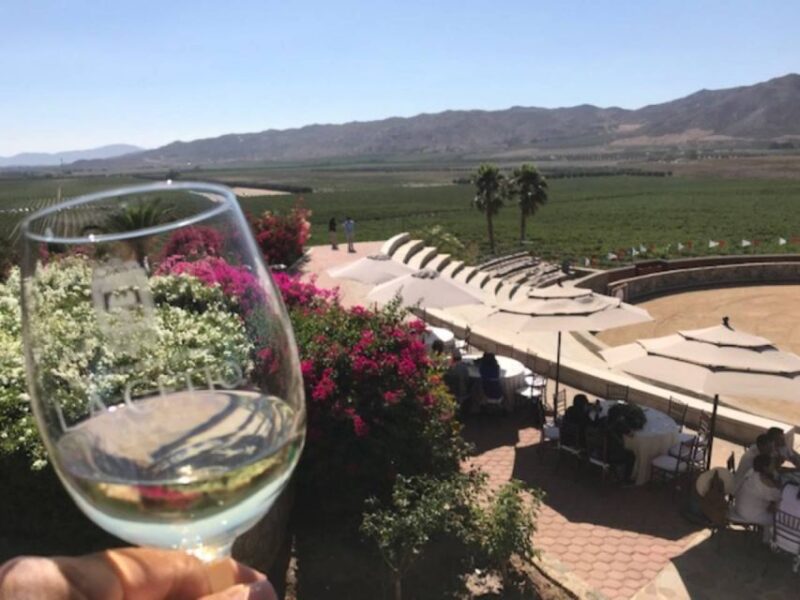 From Tijuana: Valle De Guadalupe Private Winery Tour - Wine Tastings
