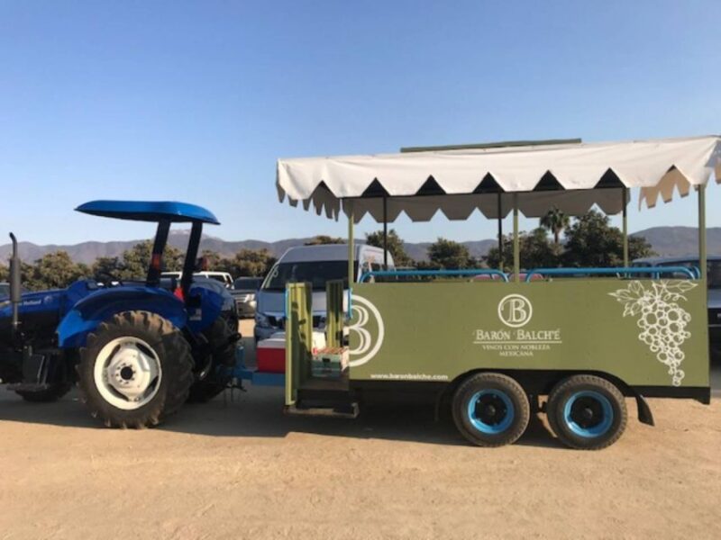 From Tijuana: Valle De Guadalupe Private Winery Tour - Important Information