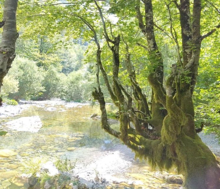 From Tirana: 2-Day Private Tour of Theth and Shkoder - Hiking Adventures in Theths Dramatic Landscapes