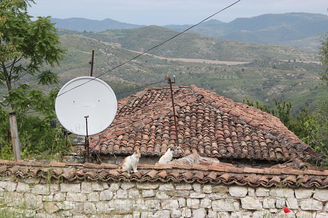 From Tirana Day Trip to Berat -Historical Walking - Participant Requirements and Accessibility