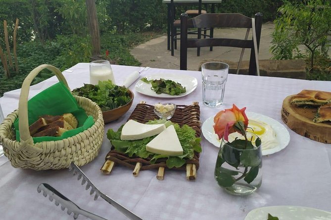From Tirana Wine Tasting & Food Tour in Berat - Transportation and Guide