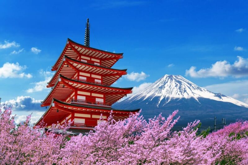 From Tokyo: 1 Day Mount Fuji Private Guided Tour - Key Points