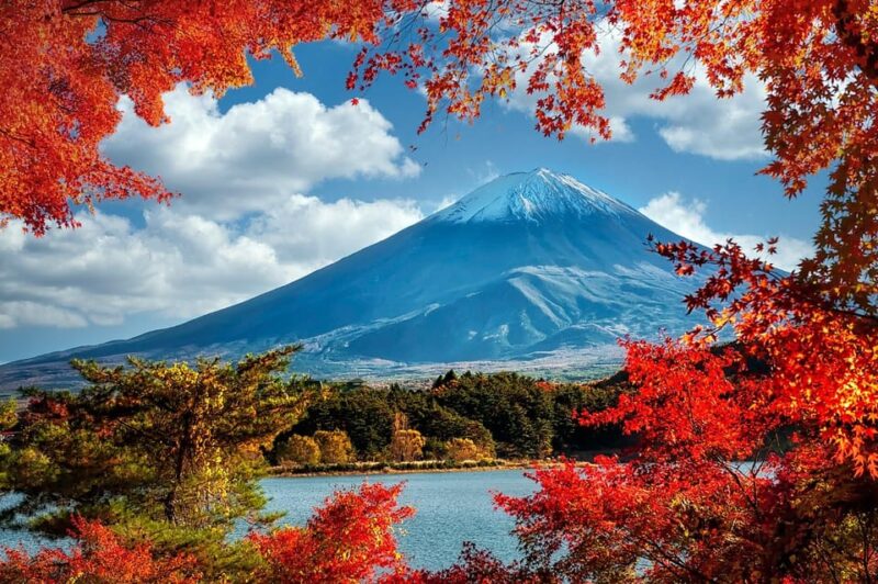 From Tokyo: 1 Day Mount Fuji Private Guided Tour - Itinerary