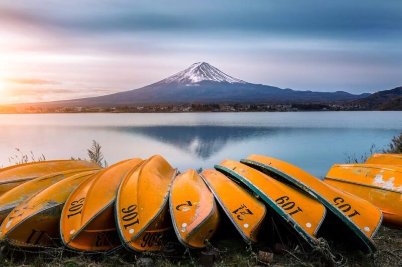 From Tokyo: 1 Day Mount Fuji Private Guided Tour - Inclusions