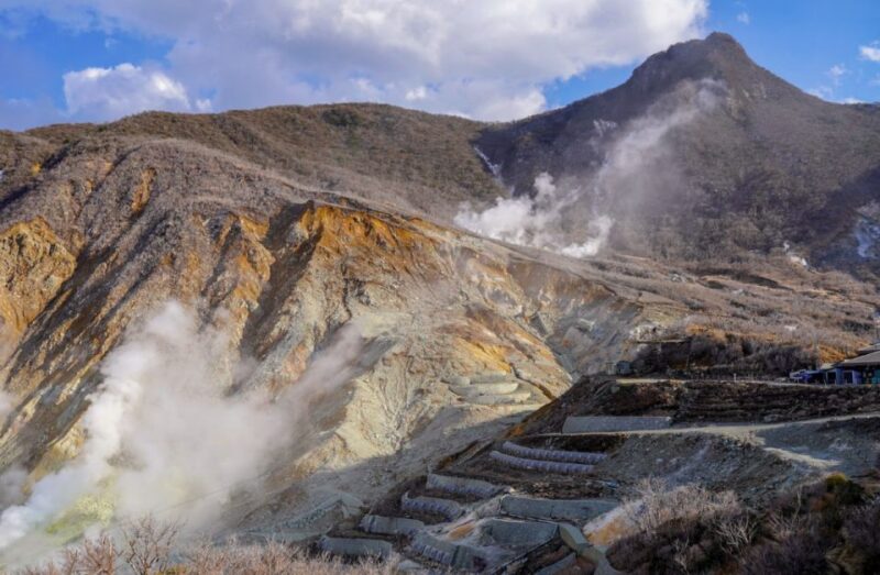 From Tokyo: 10-hour Hakone Private Custom Tour - Transportation and Logistics