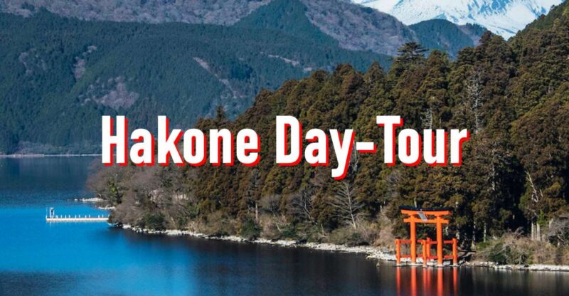 From Tokyo: 10-hour Hakone Private Custom Tour - Pickup and Drop-off