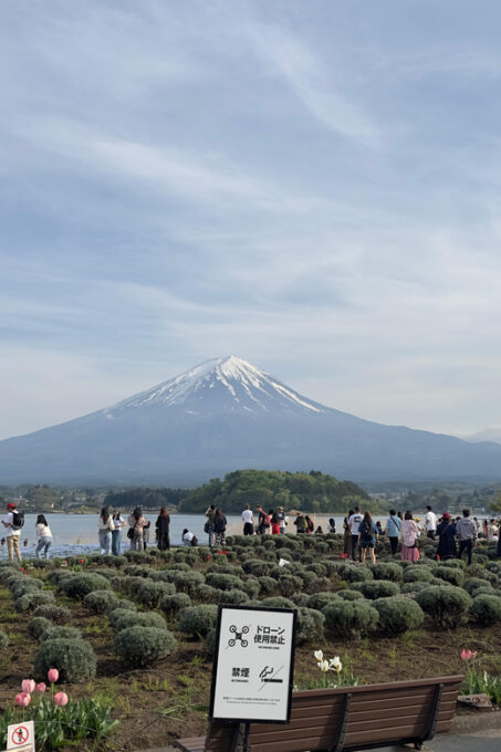 From Tokyo: 3 Day Private Tour (Mt.fuji, Nikko, Hakone) - Attractions in the Hakone Area