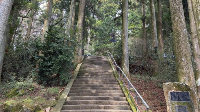 From Tokyo: 3 Day Private Tour (Mt.fuji, Nikko, Hakone) - Tour Inclusions and Policies