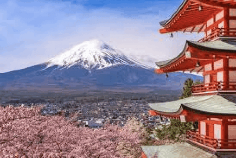 From Tokyo Custom Mt.Fuji Tour With the Private Van - Key Points