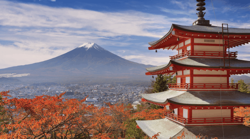 From Tokyo Custom Mt.Fuji Tour With the Private Van - Stunning Views of Mt. Fuji