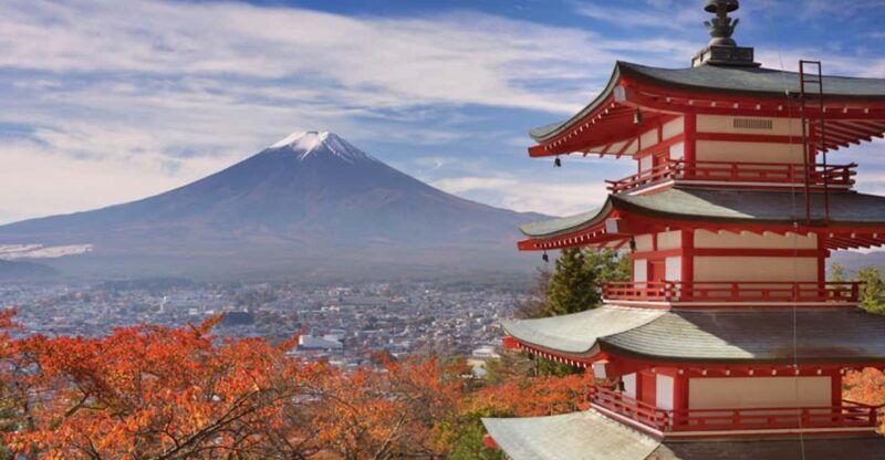 From Tokyo Custom Mt.Fuji Tour With the Private Van - Pricing and Group Size