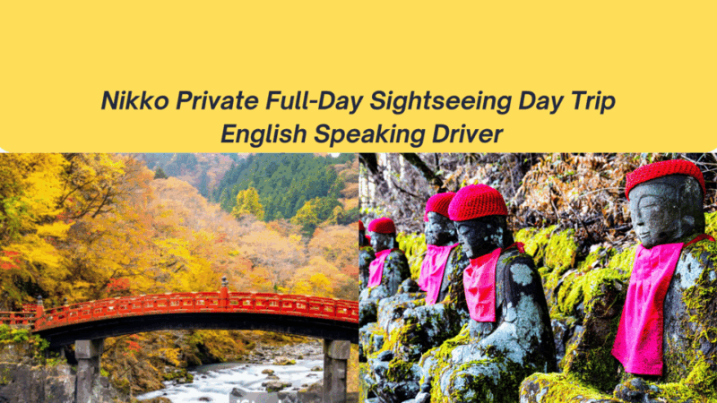 From Tokyo: Custom Nikko Day Tour With English Driver Flexib - Highlights of the Tour
